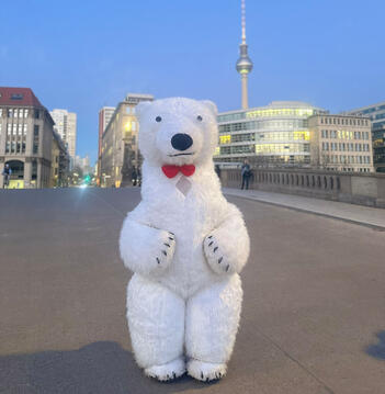Interdum